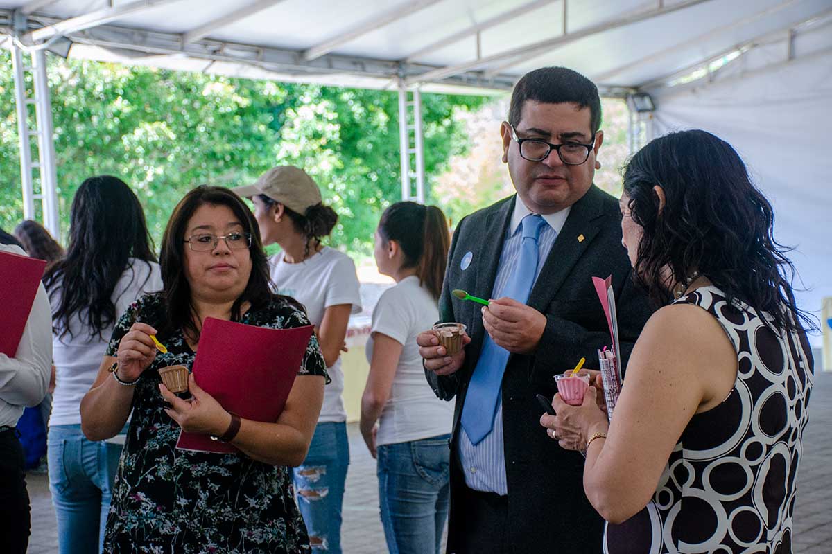 16 / 16 - Profesores titulares e invitados.