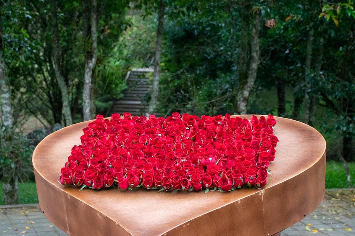 1 / 8 - Rosas para los asistentes a la Séptima Hora del Reto.