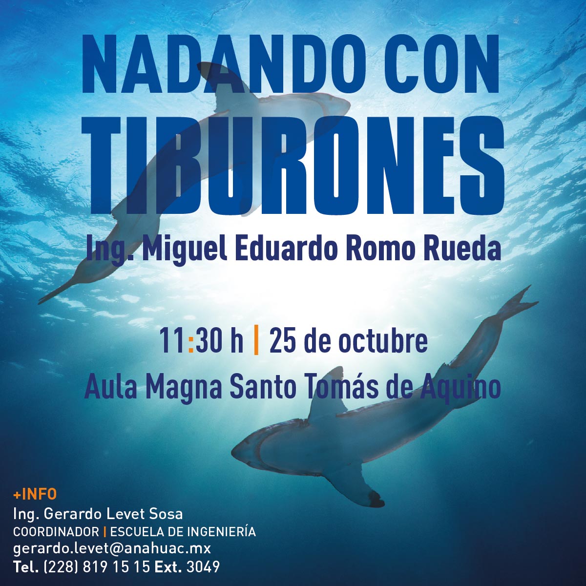 Nadando con Tiburones