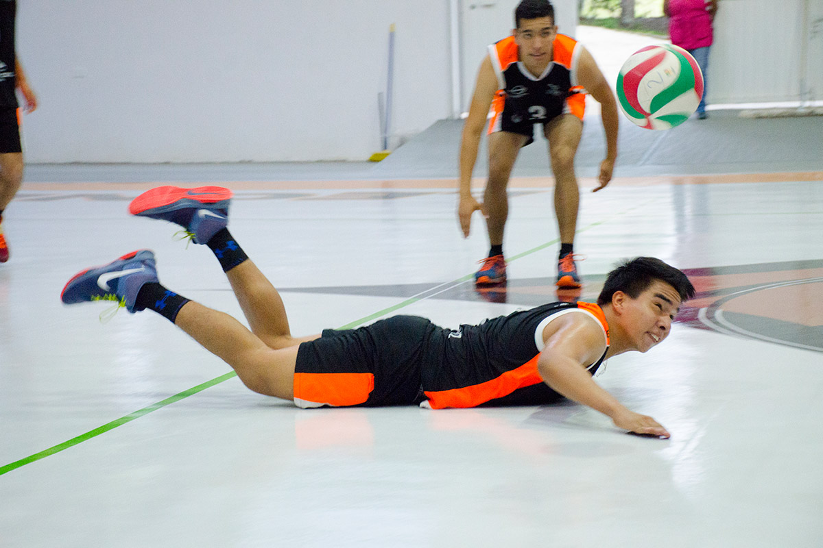 3 / 8 - Ganadores, Circuito Estatal de Voleibol