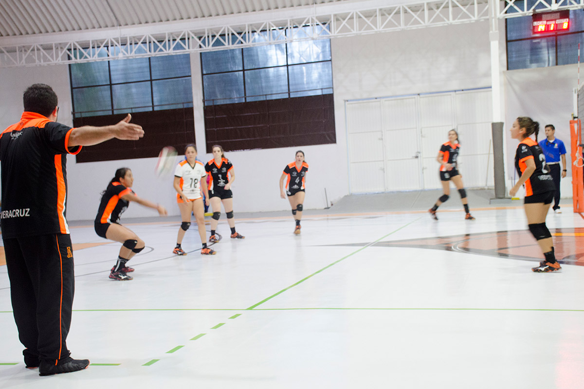 4 / 8 - Ganadores, Circuito Estatal de Voleibol