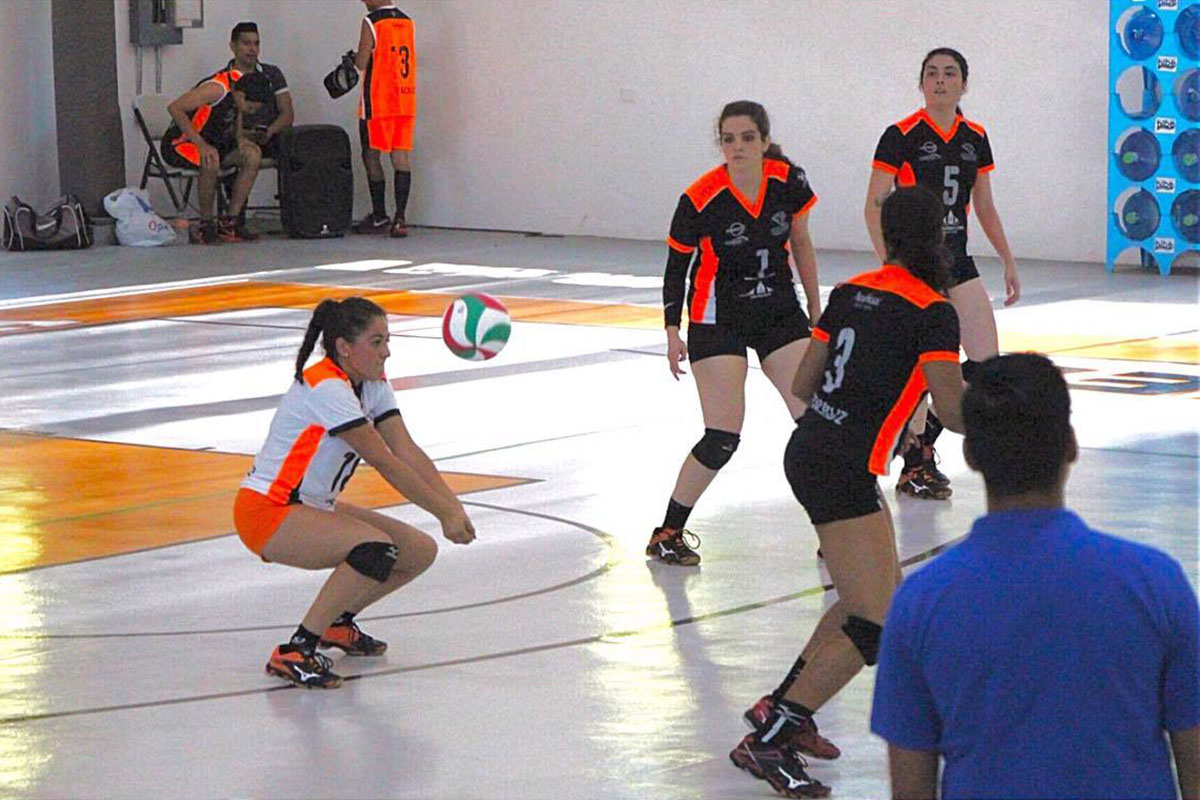 7 / 8 - Ganadores, Circuito Estatal de Voleibol