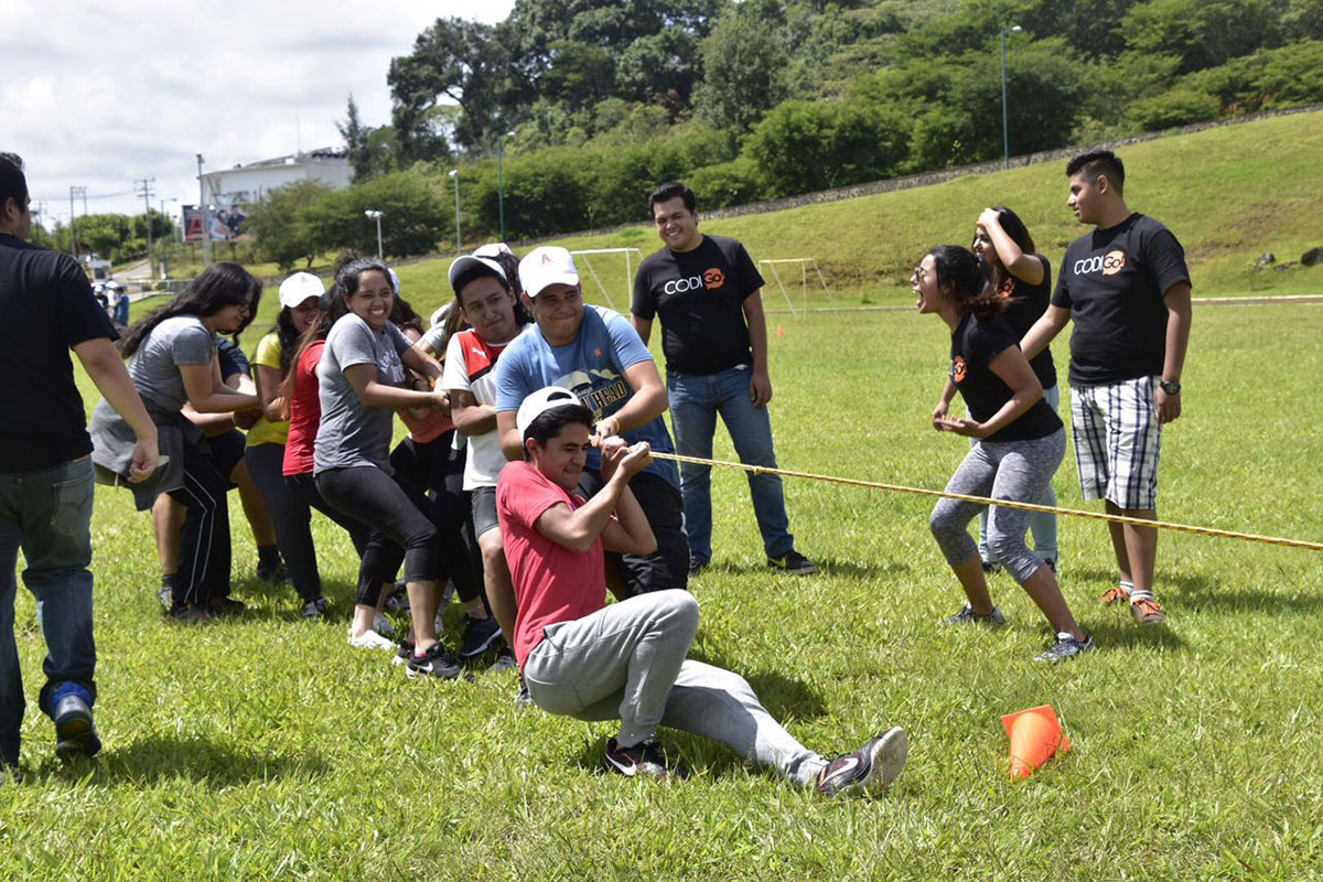 2 / 4 - Grupo Código en la BIU 2016