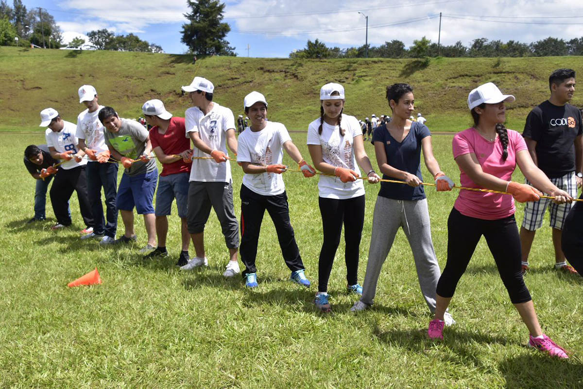 4 / 4 - Grupo Código en la BIU 2016