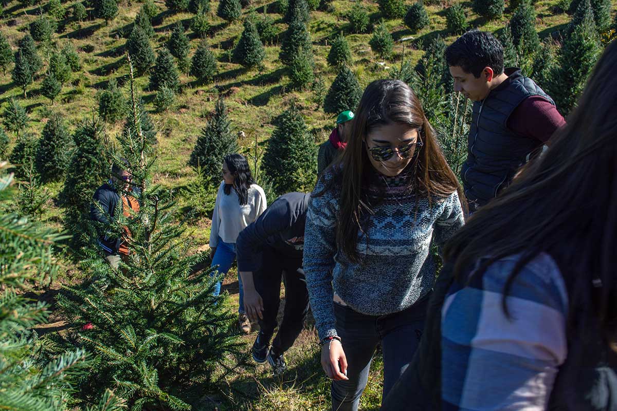 3 / 5 - En el parque Yerbabuena buscando el árbol de navidad.