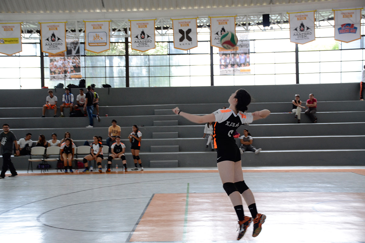 7 / 8 - Actividad de Voleibol Femenil y Basquetbol Varonil
