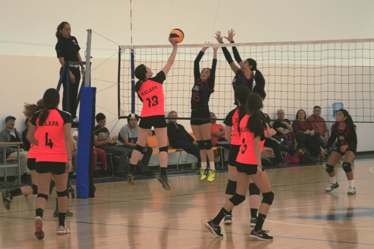 15 / 16 - Prepa Anáhuac en Voleibol CONADEIP