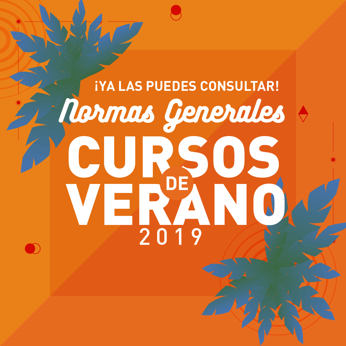 Información para Cursos de Verano 2019