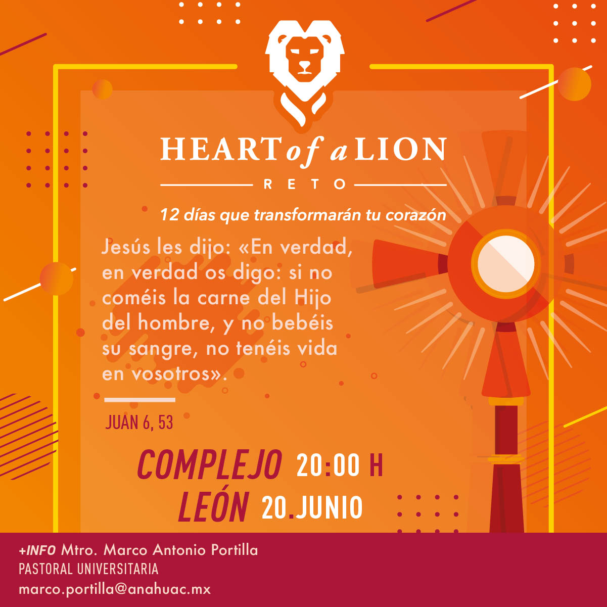 Reto Heart of a Lion: Sexta Actividad