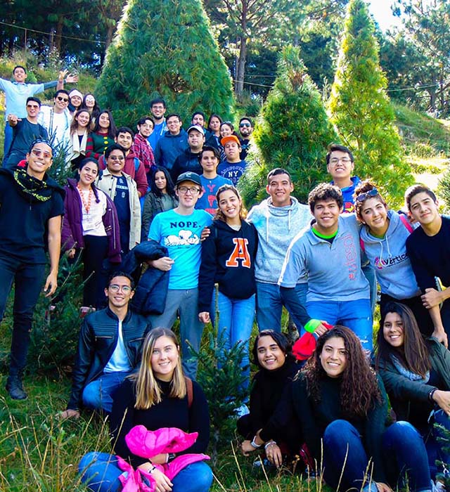 Con el Corte de &Aacute;rbol Iniciamos la Temporada Navide&ntilde;a 2019