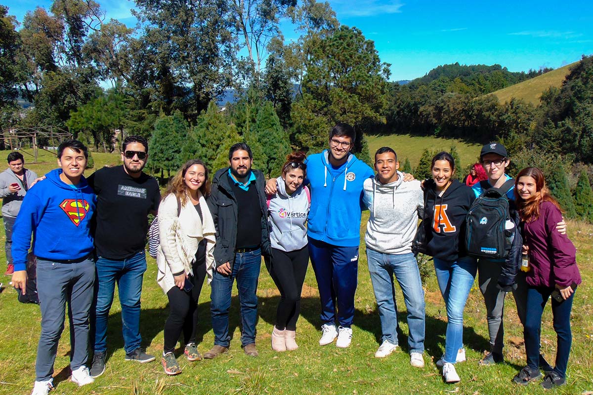 2 / 5 - Con el Corte de Árbol Iniciamos la Temporada Navideña 2019