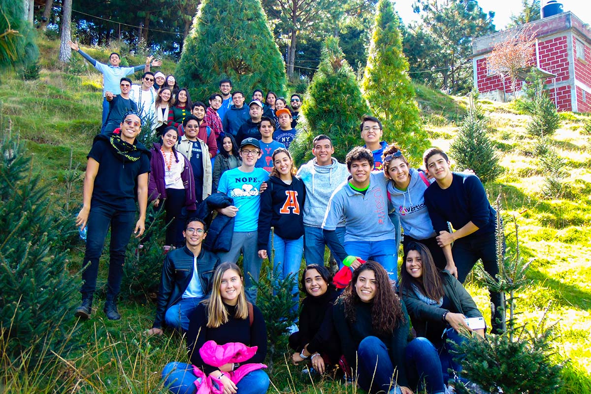 3 / 5 - Con el Corte de Árbol Iniciamos la Temporada Navideña 2019