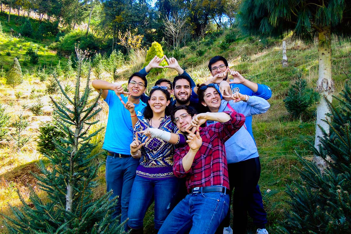 4 / 5 - Con el Corte de Árbol Iniciamos la Temporada Navideña 2019