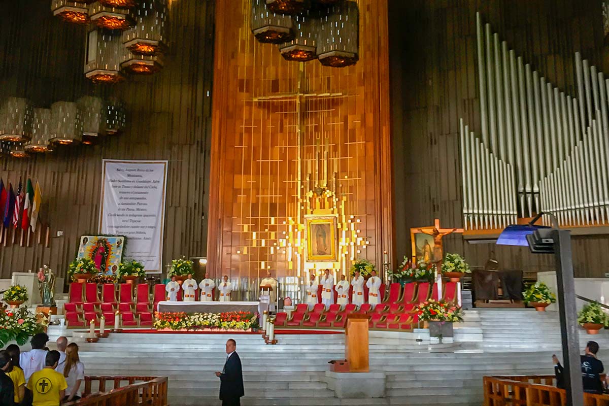 3 / 5 - Jóvenes Universitarios Anáhuac a los Pies de la Guadalupana