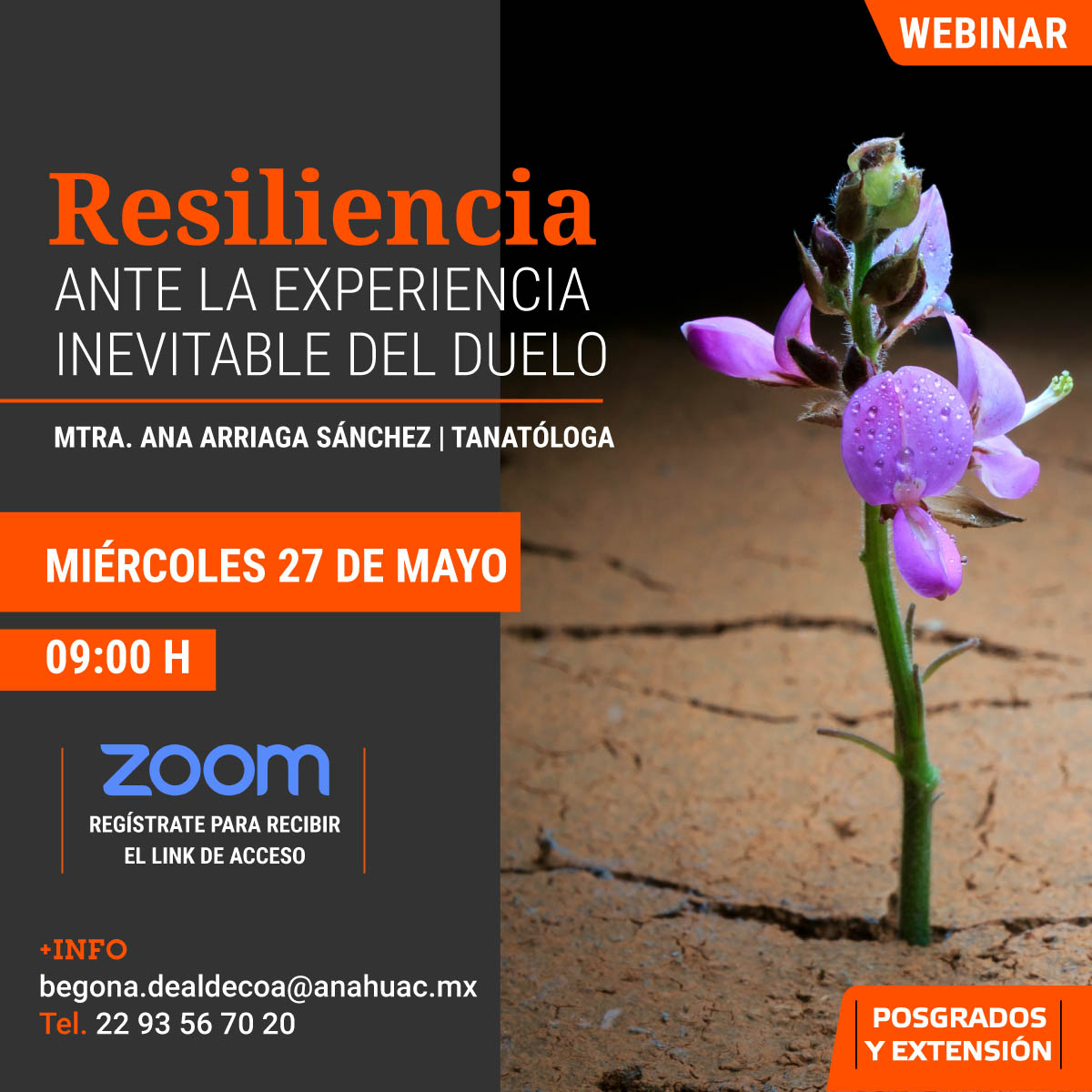 Resiliencia Ante la Experiencia Inevitable del Duelo