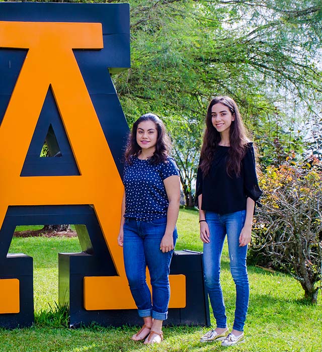 Porqué aprender una Lengua Extranjera