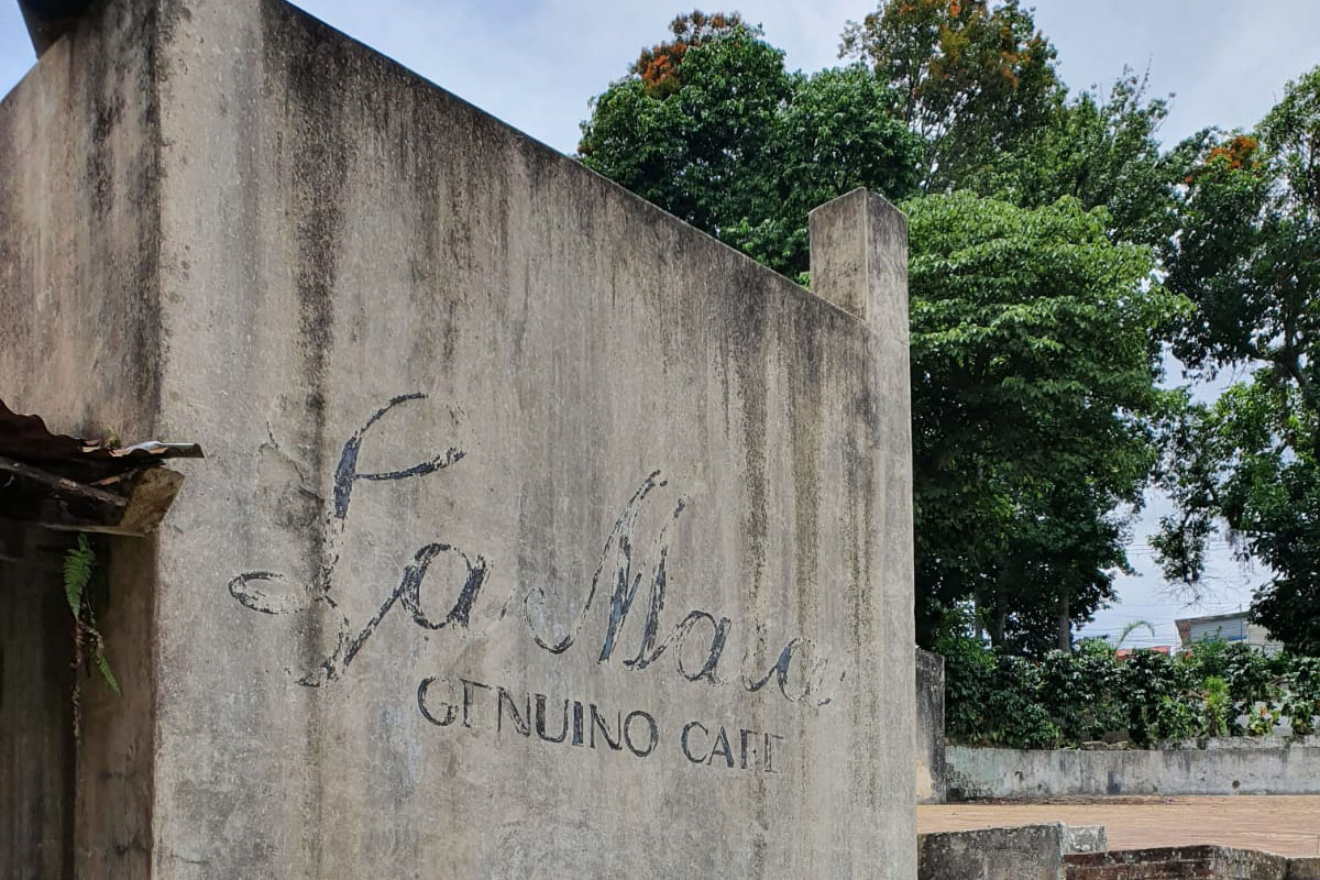 5 / 5 - La Escuela de Comunicación y Entretenimiento Presente en la 1ra Subasta de Café