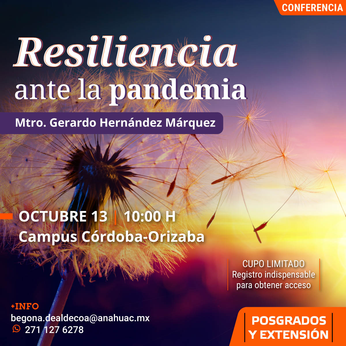 Resiliencia Ante la Pandemia