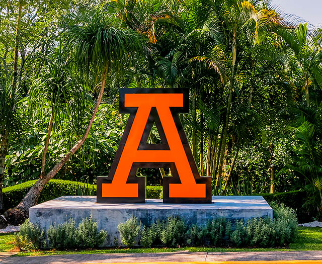 Servicios Universitarios