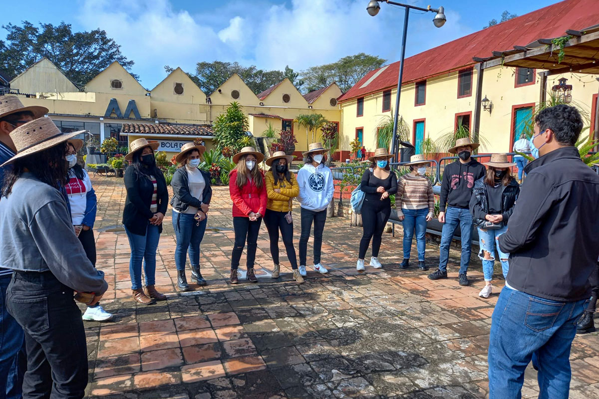 2 / 5 - Visita al Museo Bola de Oro del Café: Finca Roma