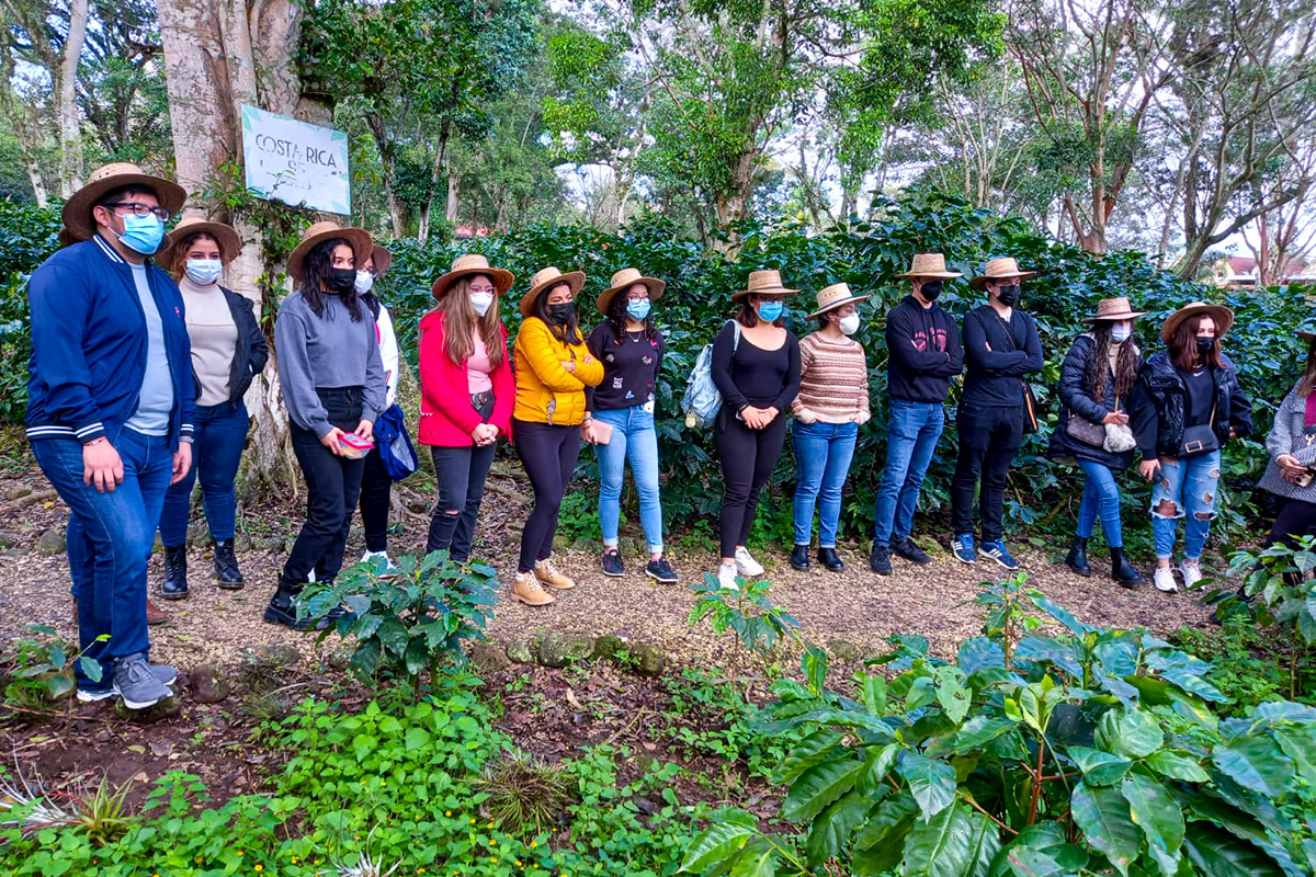 5 / 5 - Visita al Museo Bola de Oro del Café: Finca Roma