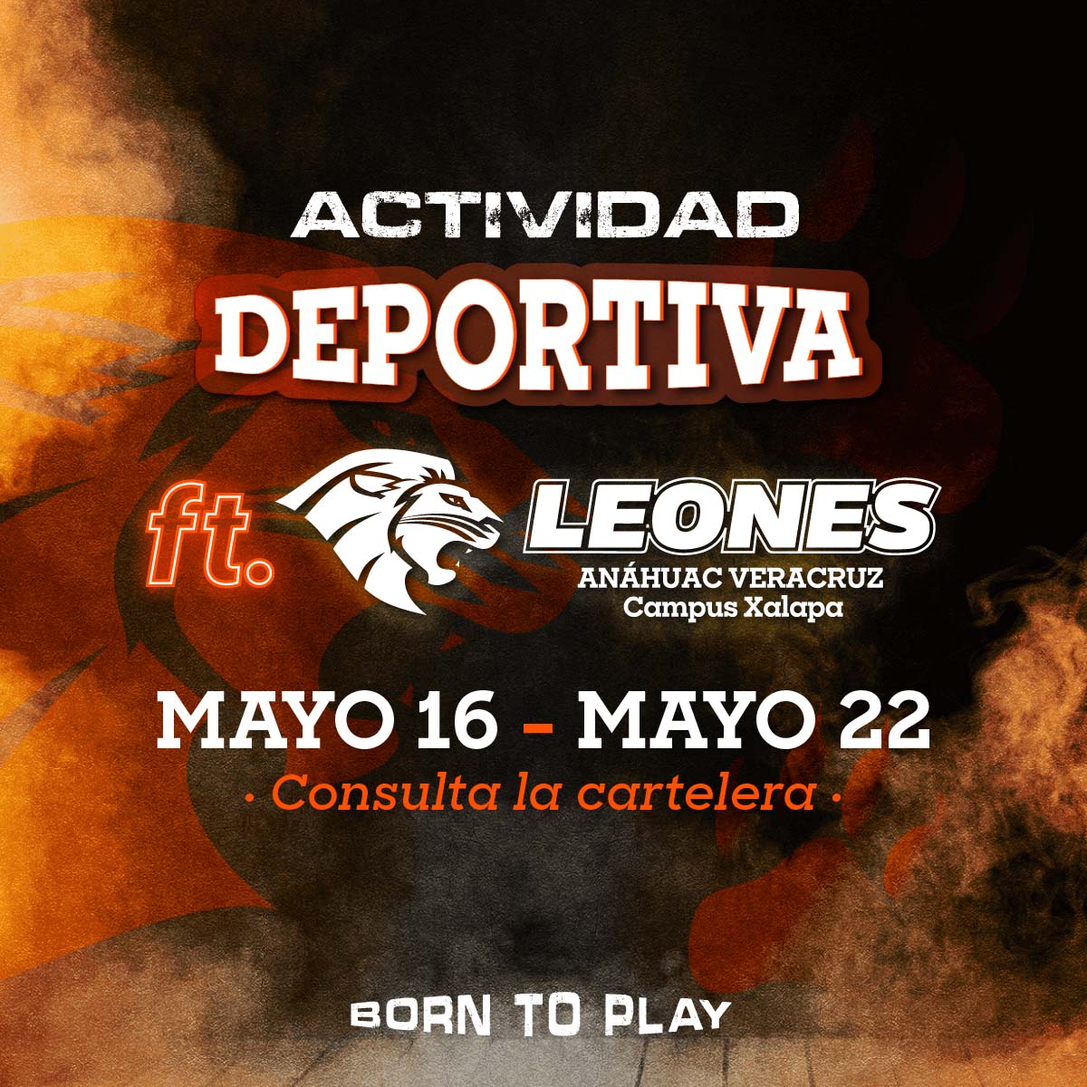 Actividad Deportiva del 16 al 22 de Mayo