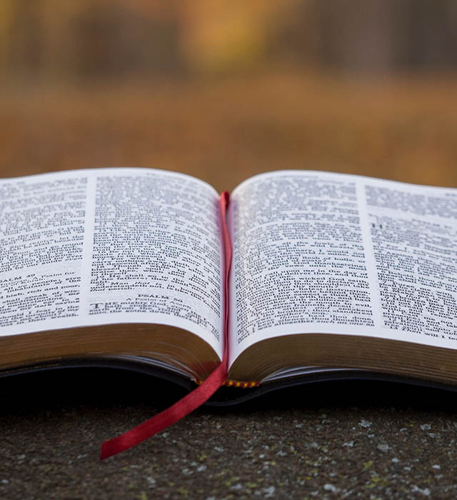 Adquisiciones de Biblioteca en Noviembre 2022