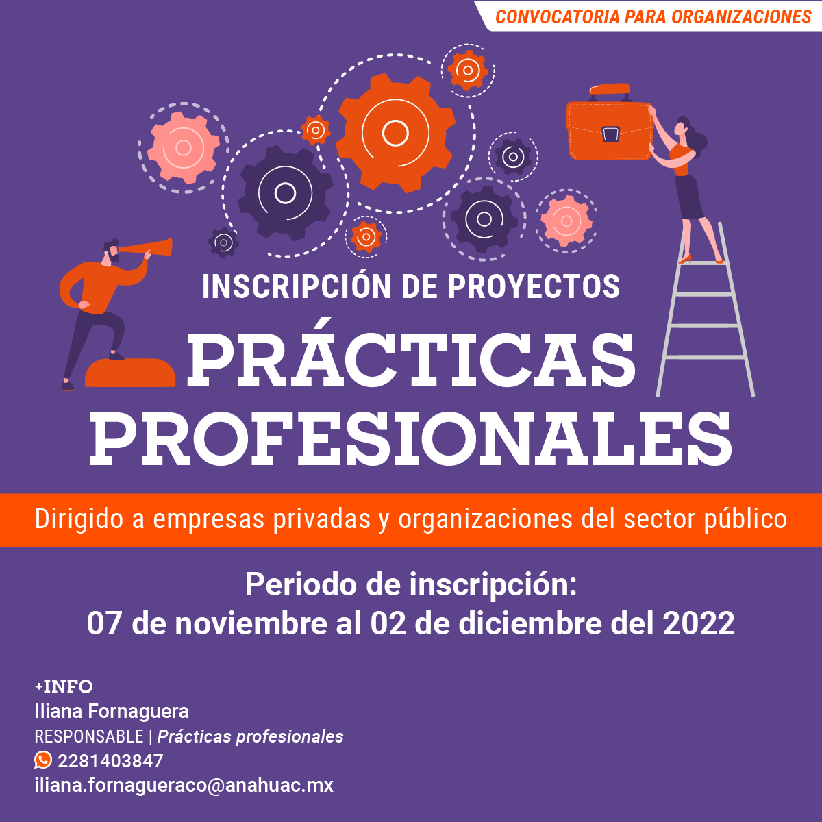 Prácticas Profesionales: Convocatoria para Organizaciones