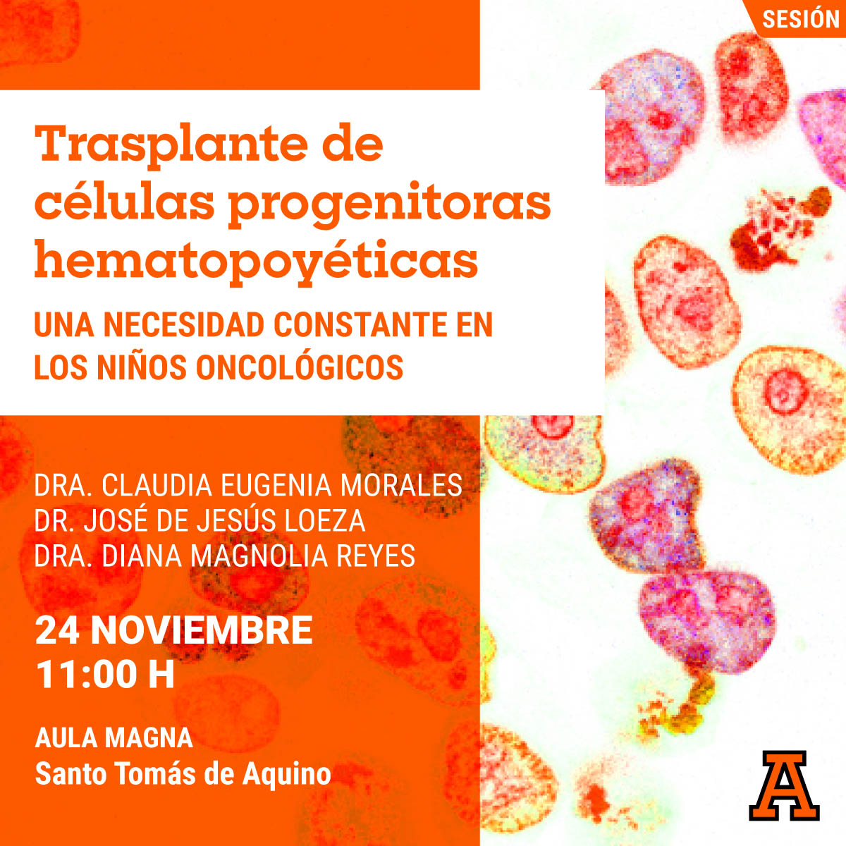 Trasplante de Células Progenitoras Hematopoyéticas