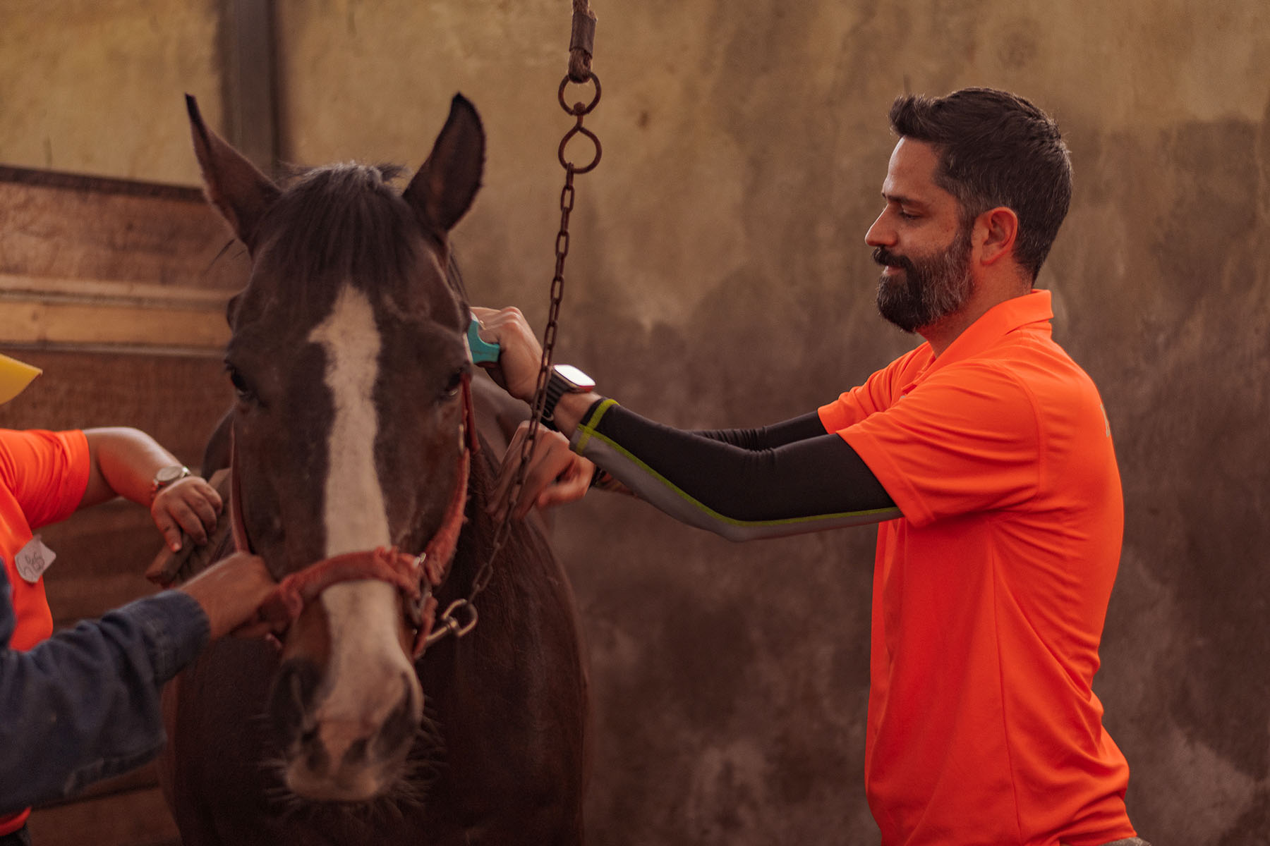 4 / 21 - Coaching Asistido por Caballos para Alumnos de la Maestría en Desarrollo de Capital Humano