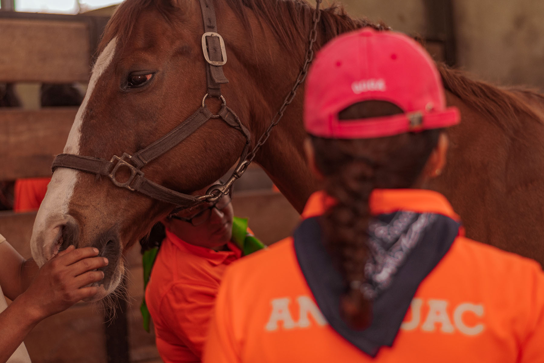 8 / 21 - Coaching Asistido por Caballos para Alumnos de la Maestría en Desarrollo de Capital Humano