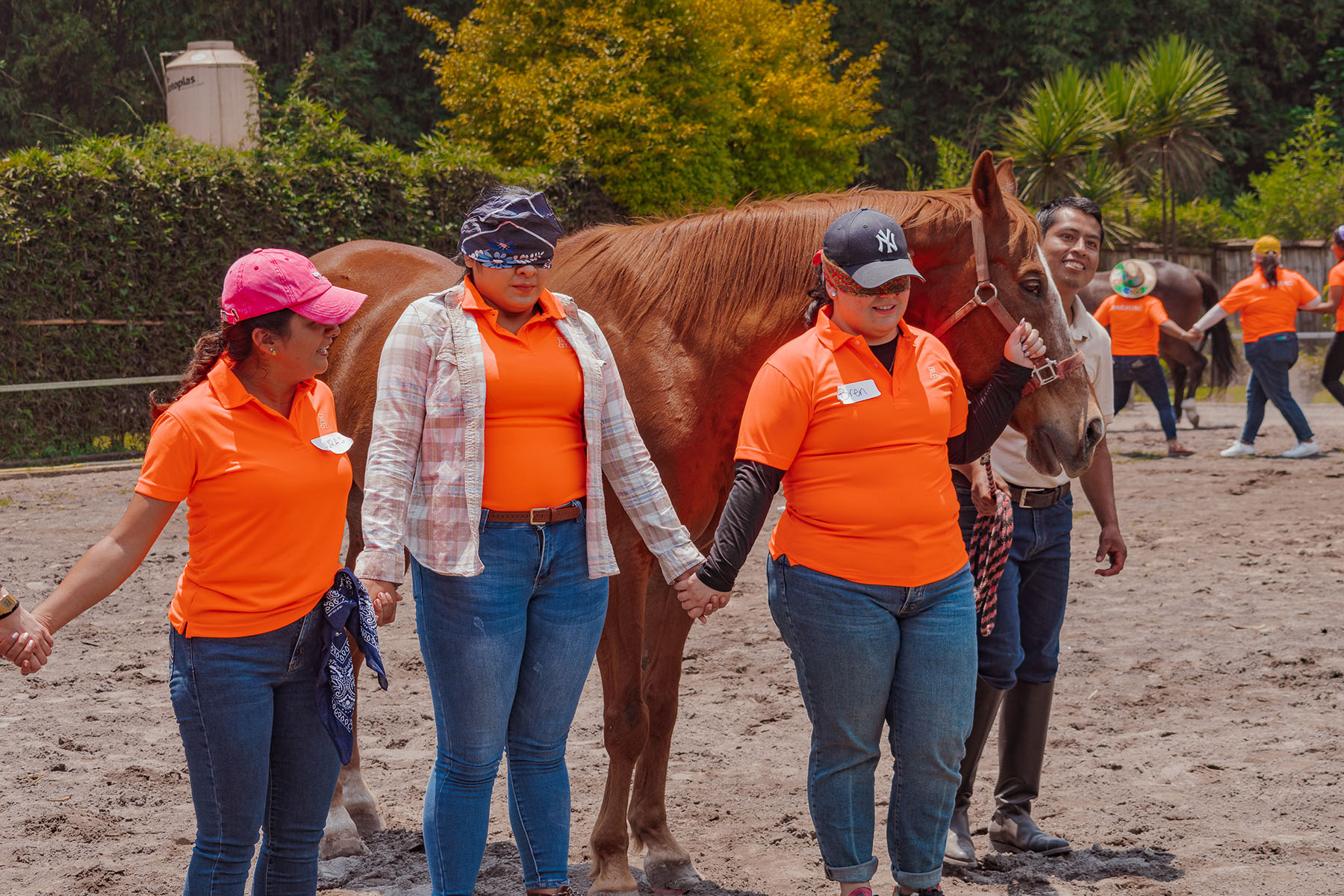 14 / 21 - Coaching Asistido por Caballos para Alumnos de la Maestría en Desarrollo de Capital Humano