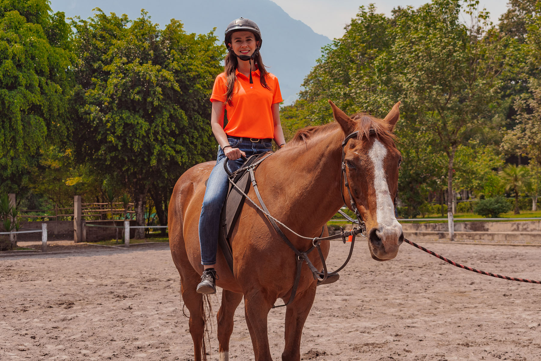 19 / 21 - Coaching Asistido por Caballos para Alumnos de la Maestría en Desarrollo de Capital Humano