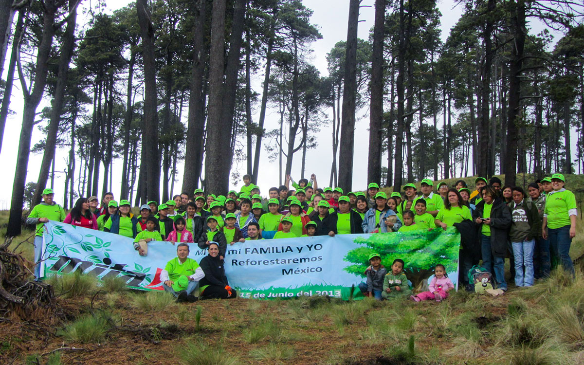 1 / 5 - Reforestamos México A.C.