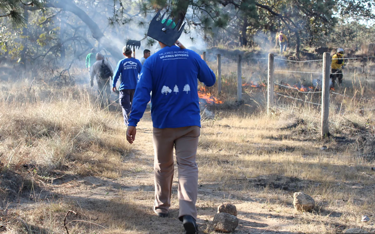 2 / 5 - Reforestamos México A.C.