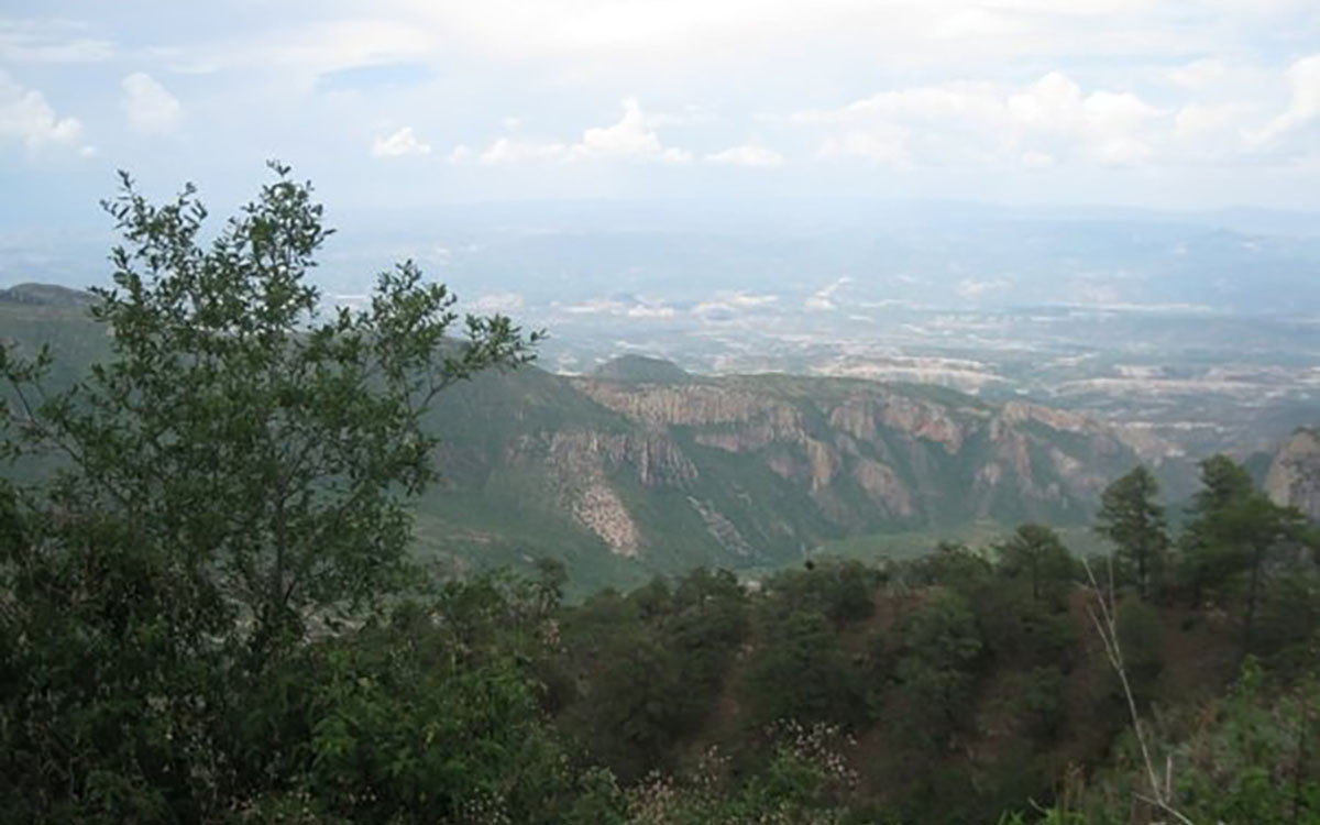 4 / 5 - Reforestamos México A.C.