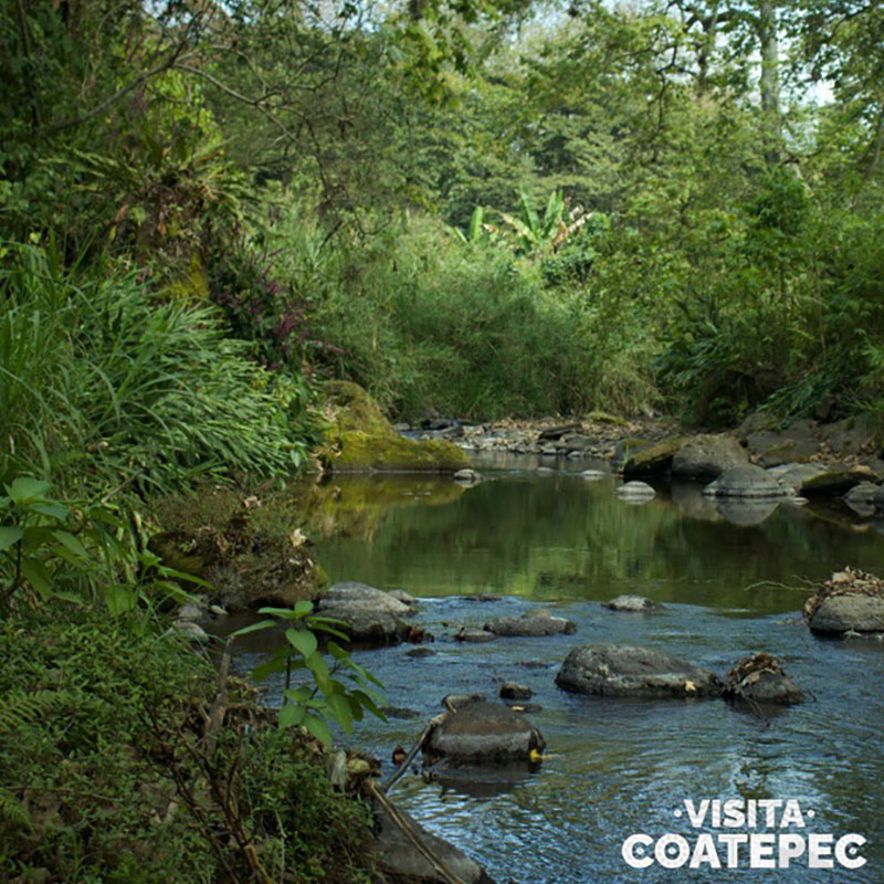 6 / 7 - Comité Ciudadano del Pueblo Mágico de Coatepec