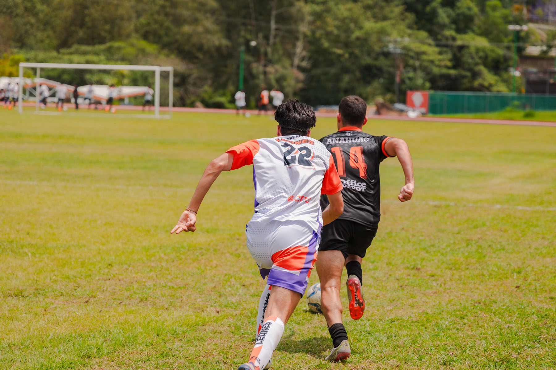 84 / 143 - La Semana Leones Regresa a Veracruz