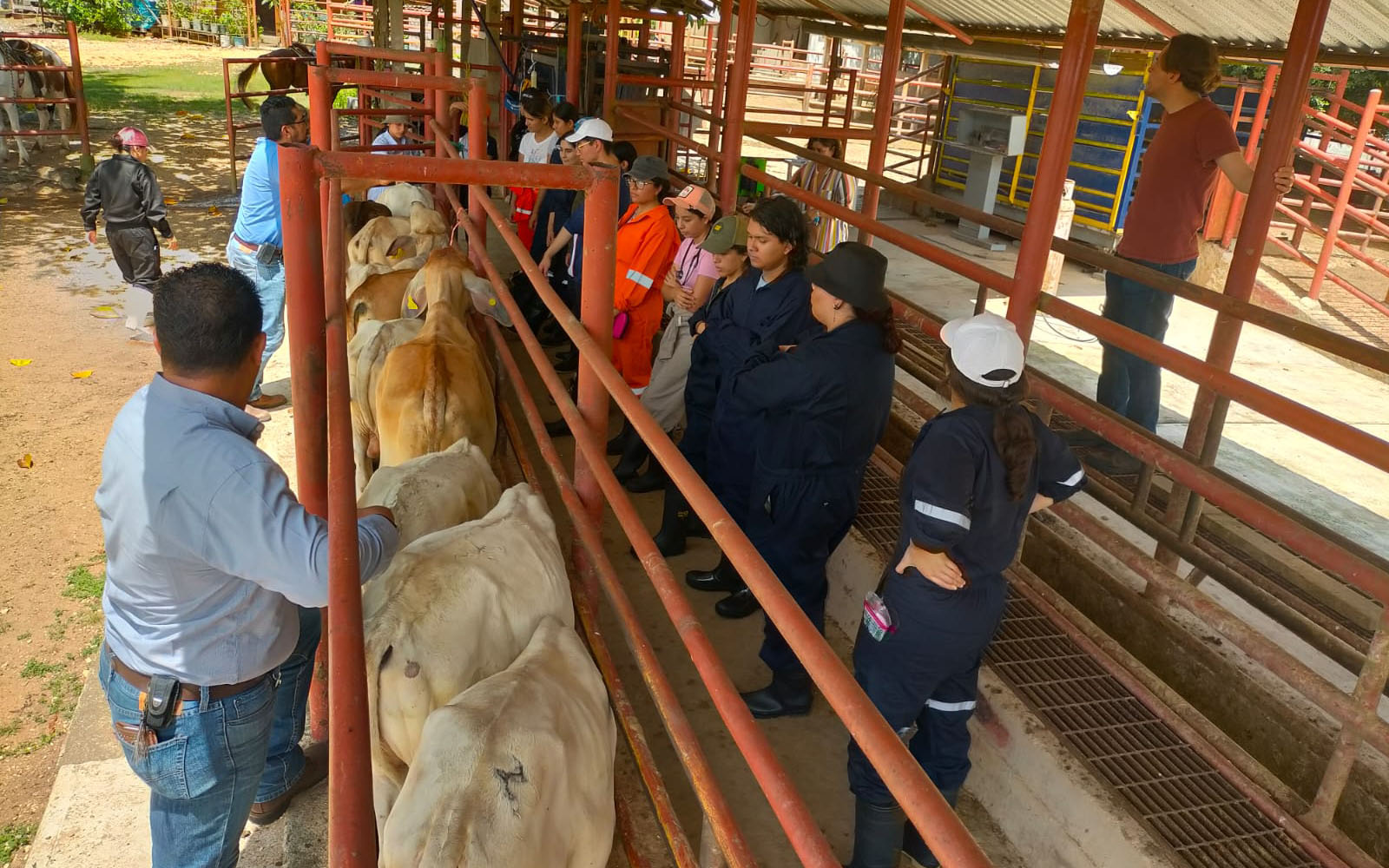 1 / 7 - Alumnos de la Primera Generación de Veterinaria Visitan la Zona Sur del Estado