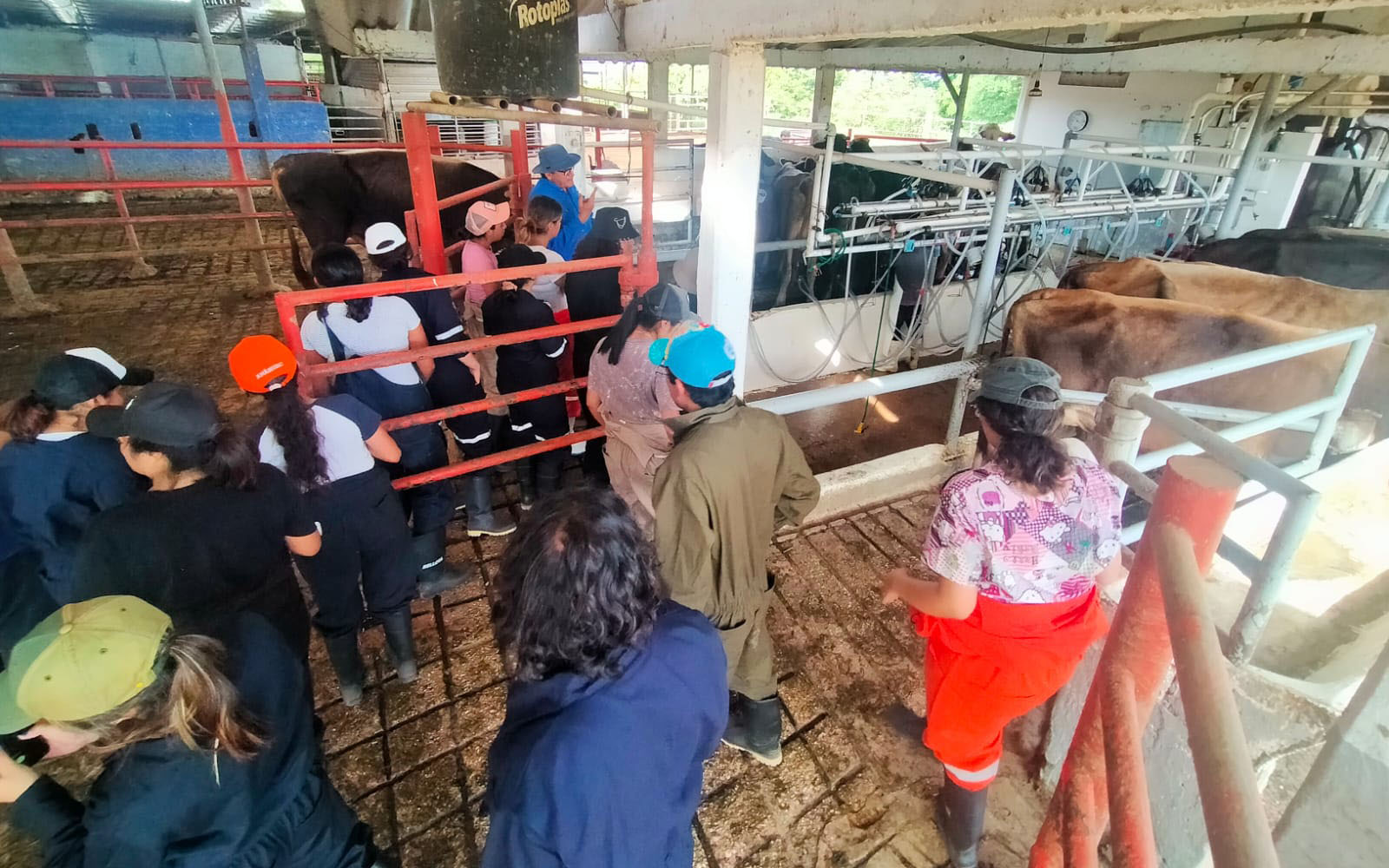 3 / 7 - Alumnos de la Primera Generación de Veterinaria Visitan la Zona Sur del Estado