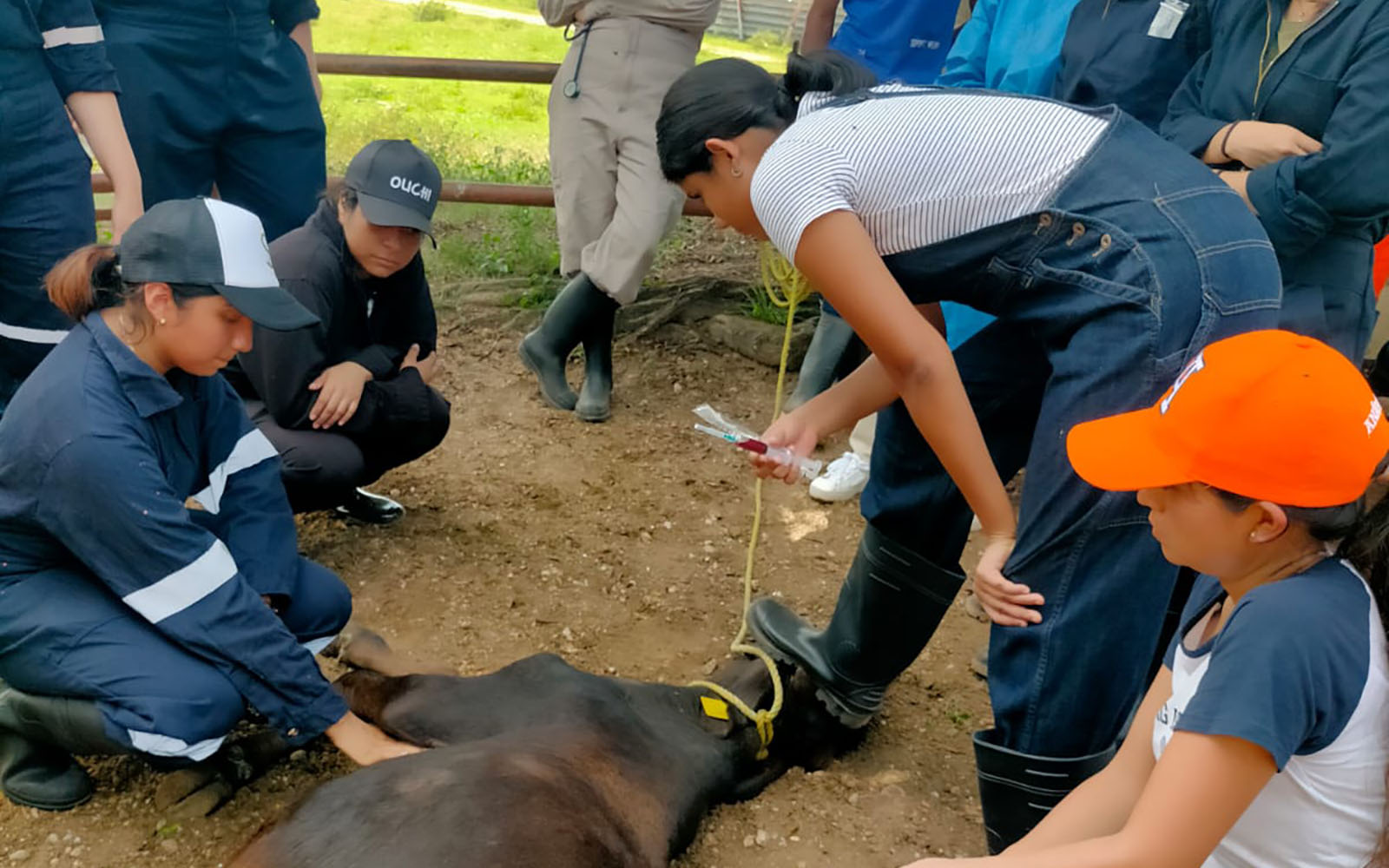 5 / 7 - Alumnos de la Primera Generación de Veterinaria Visitan la Zona Sur del Estado