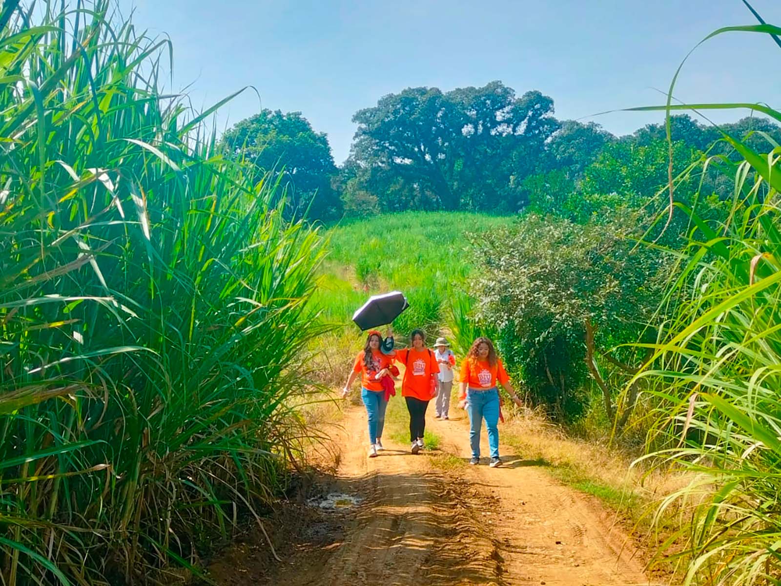 12 / 14 - El Camino de Calicanto: Caminata Religiosa