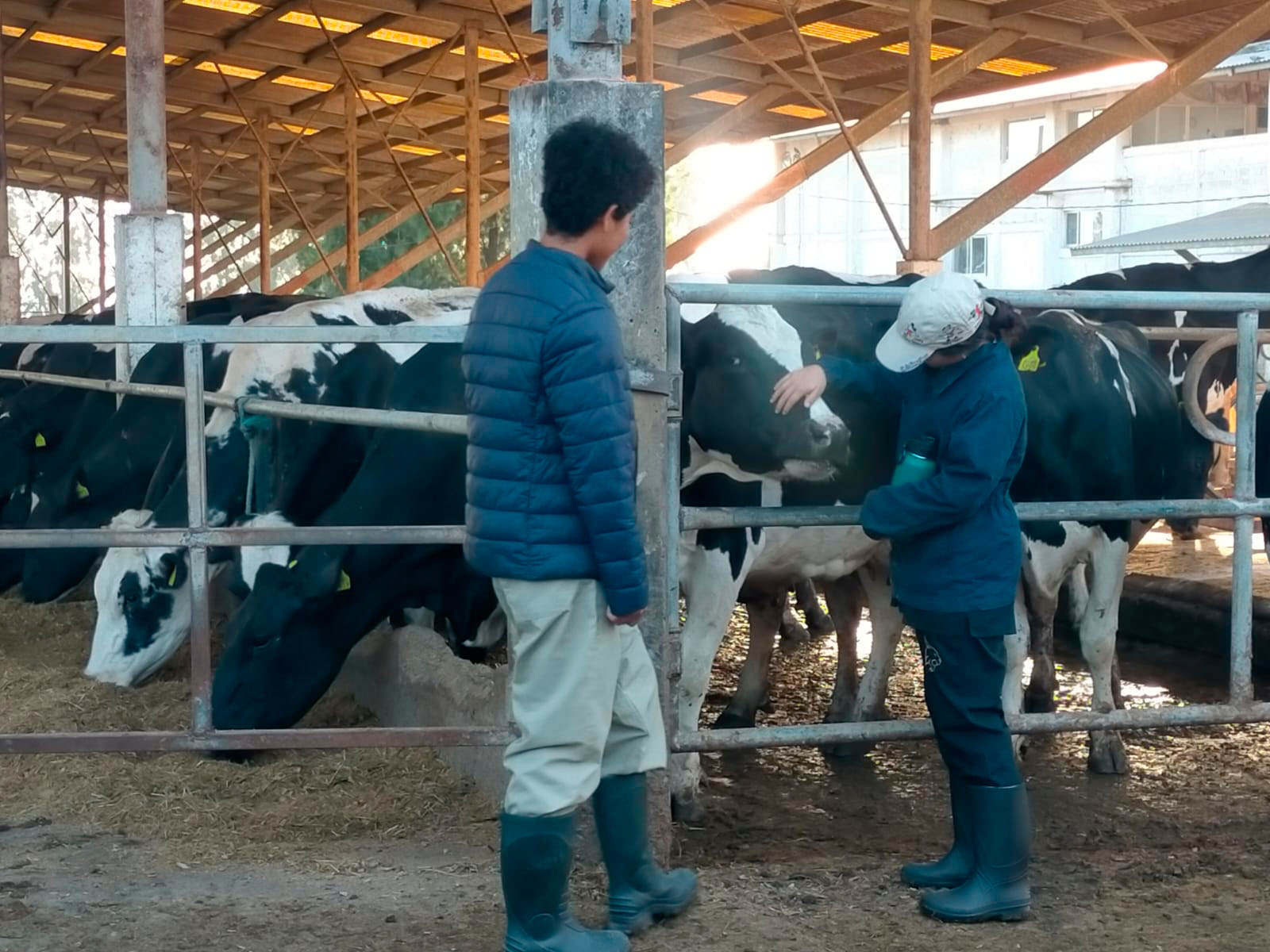 3 / 6 - Visita a Rancho Ganadero Especializado en Producción de Leche