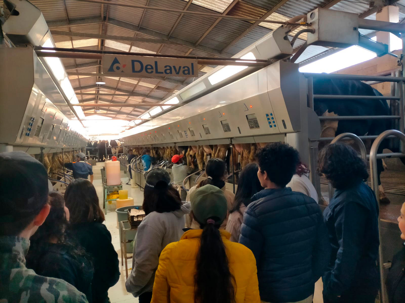 5 / 6 - Visita a Rancho Ganadero Especializado en Producción de Leche