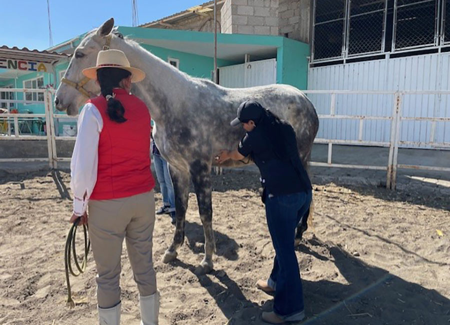 1 / 4 - Visita Exitosa al Rancho La Querencia: Una Experiencia en el Mundo Equino