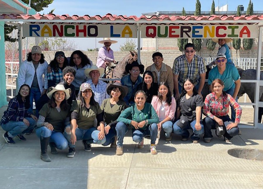 2 / 4 - Visita Exitosa al Rancho La Querencia: Una Experiencia en el Mundo Equino