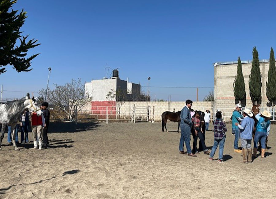 3 / 4 - Visita Exitosa al Rancho La Querencia: Una Experiencia en el Mundo Equino