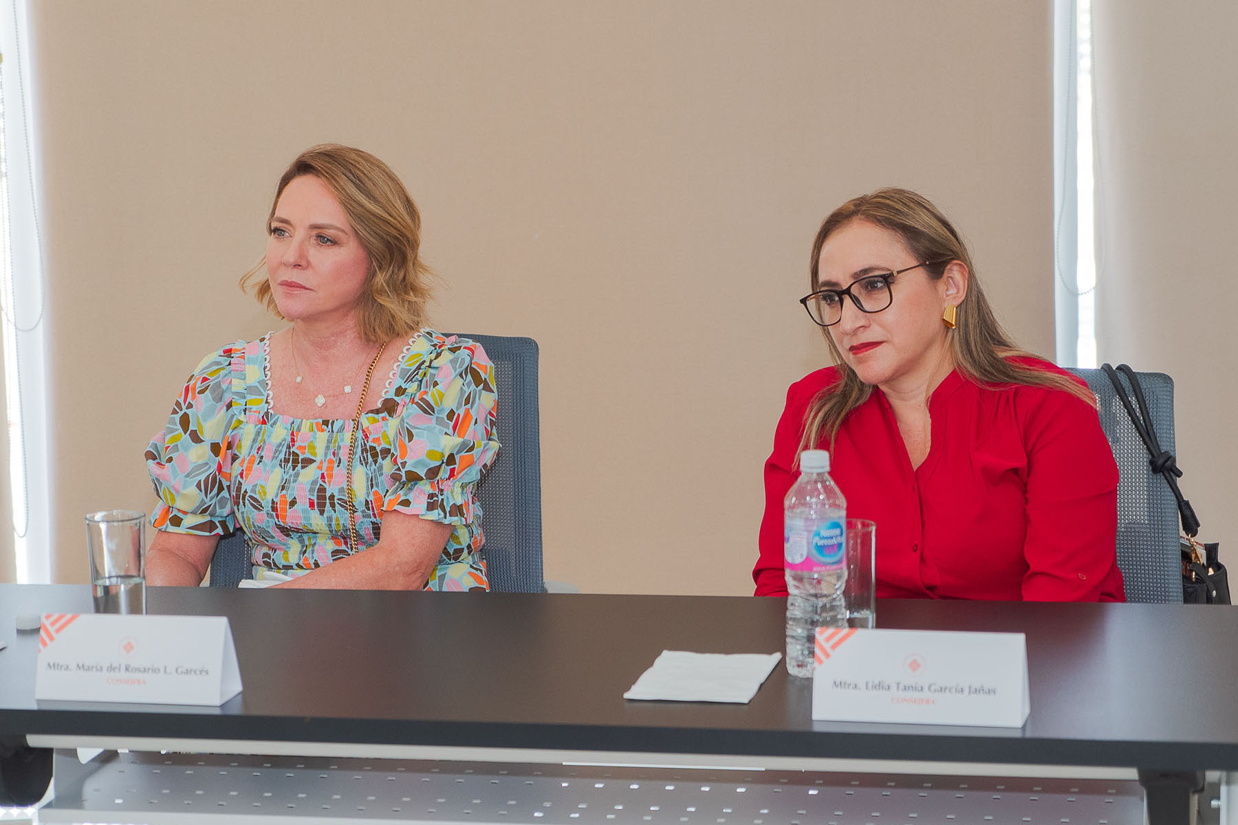3 / 27 - Instauración del Consejo Consultivo Académico de la Escuela de Psicología