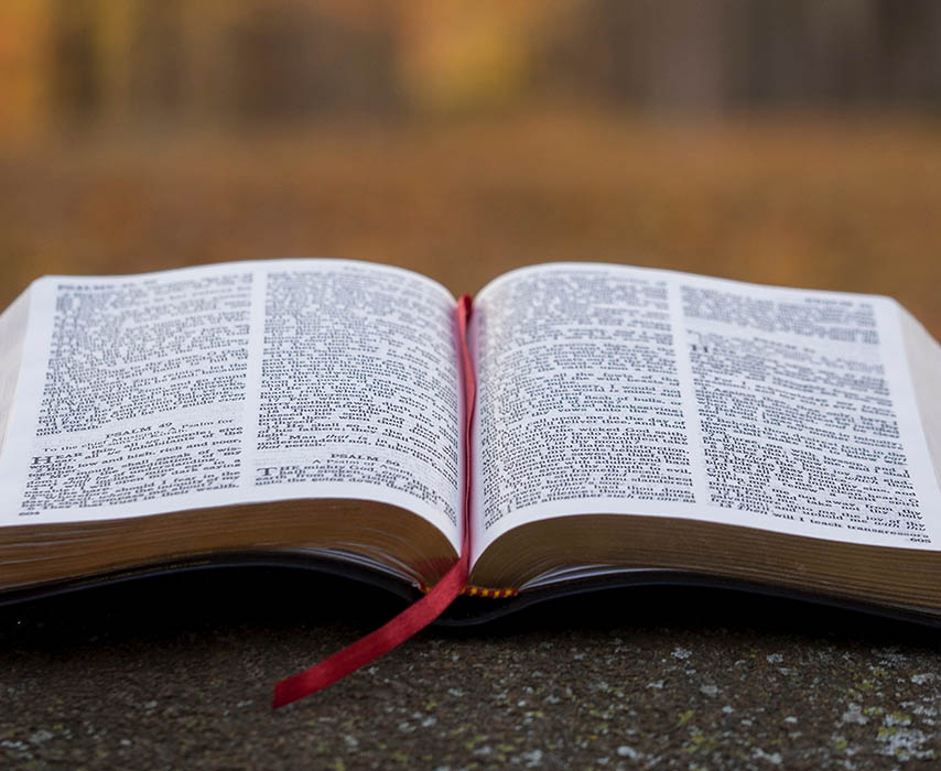 Adquisiciones Bibliográficas Diciembre 2024