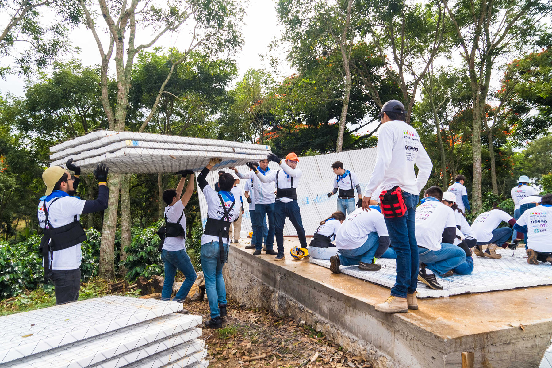 43 / 56 - Compromiso Social